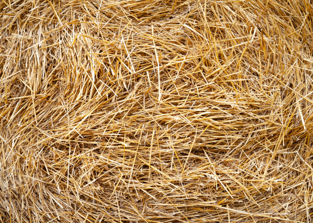 #1. Hay and haylage